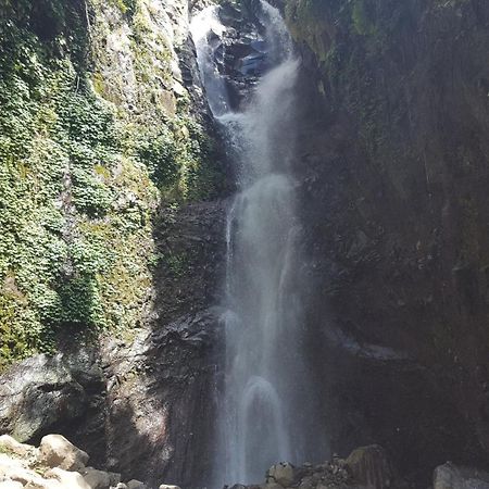 Gede'S Homestay テジャクラ エクステリア 写真