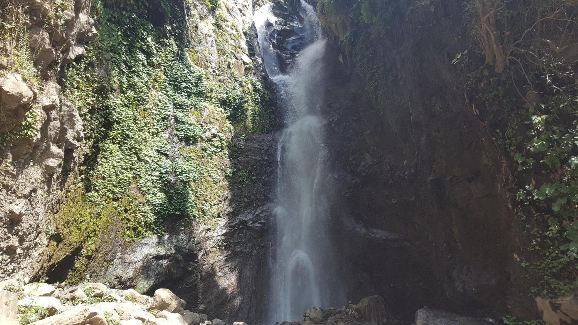 Gede'S Homestay テジャクラ エクステリア 写真